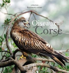 Oiseaux de Corse